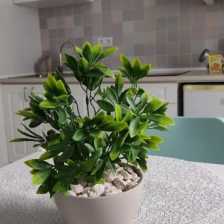 Guimar New Style, Tu Nueva Eleccion Cordoba