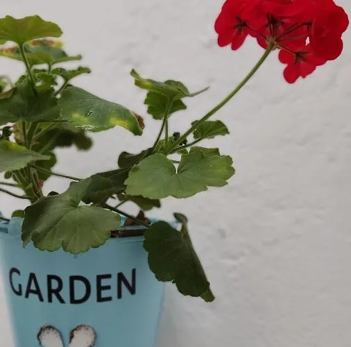 아파트 Guimar New Style, Tu Nueva Eleccion 코르도바